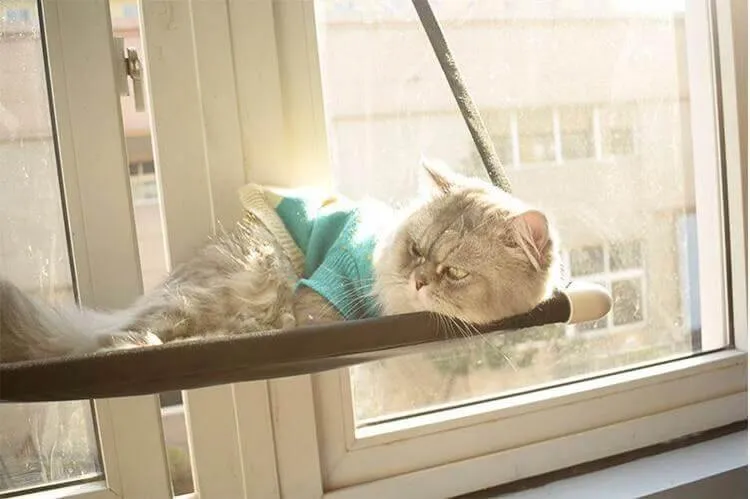 Comfortable Cat Hammock Bed